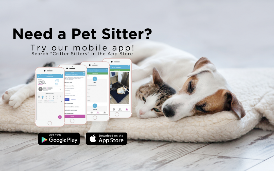 Download our Mobile Pet Sitting Phone App for iPhone and Android